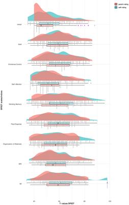 Executive functions and borderline personality features in adolescents with major depressive disorder